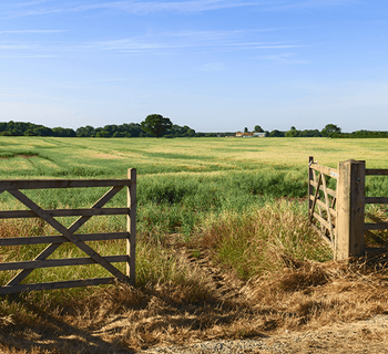 Home-Land-Arun Estates